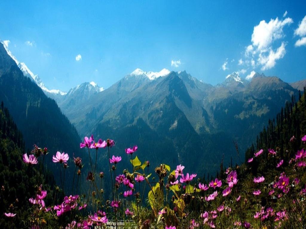 The Grand Welcome Manali (Himachal Pradesh) Exterior photo